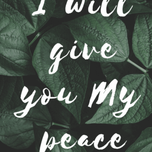 Card 08 I will give you my peace 10pc